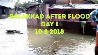 Palakkad after flood day 1. 10-8-2018 പാലക്കാട് വെള്ളപ്പൊക്കത്തിന് ശേഷം