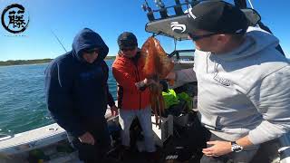 Squid Fishing Tasmania