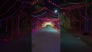 Navratri at IIT Patna 2024 🪔 #youtubeshorts #navratri #decoration #iitp #trending #shortvideo