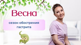 Весна - сезон обострения гастрита! Почему весной и осенью живот болит сильнее и чаще? Что делать?