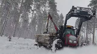 Valtra a95 möyryää metässä.