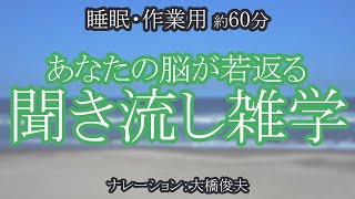 沖縄には、台風は上陸しない！？/【朗読】気持ちが若返る雑学【聞くトリビア】