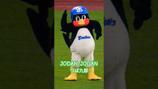 つば九郎　武田鉄矢さんの誕生日ということでJODAN JODANをねっしょう！#jodanjodan #つば九郎 #swallows