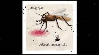 Delgma - About Mosquito / კოღოს შესახებ