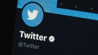 Despidos en Twitter avivan preocupación por desinformación antes de elecciones en EEUU | AFP