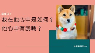 #塔羅占卜 ：我在他心裡的樣子｜他想我嗎？他接下來的行動