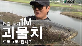 고삼지 1M 급 대형 '괴물치' 만나다!![강호형 THIS IS BASS FISHING] #0.5