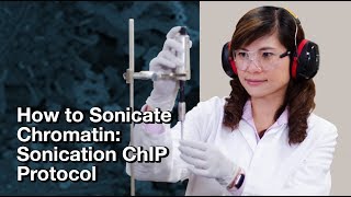 How to sonicate chromatin: Sonication ChIP Protocol | CST Tech Tips