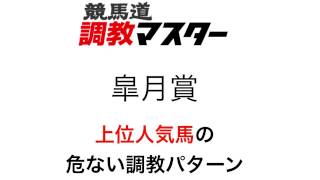 競馬道調教マスターで皐月賞人気馬の危険な調教パターンを分析