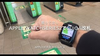 最速アップ！Apple WatchでSuica、改札を通りました。撮って出し！