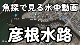 魚探で水中動画 今回は彦根水路 #彦根 #旧港 #琵琶湖バス釣り