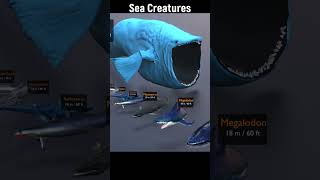 Bloop Deep Sea Creatures Size Comparison Part 7 #animals #animal #comparison #do