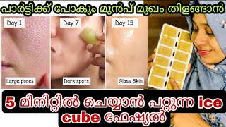 ice cube facial at home for glowing skin/ പാർട്ടിക്ക് പോകും മുന്നേ മുഖം തിളങ്ങാൻ ഇതാ ഒരു ഫേഷ്യൽ