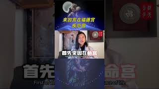 来因宫在命，疾，福 #钦天公子 #紫微斗數