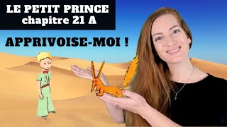 Le Petit Prince Chapitre 21 partie 1 - Explanations - Explications  - Antoine de Saint-Exupéry