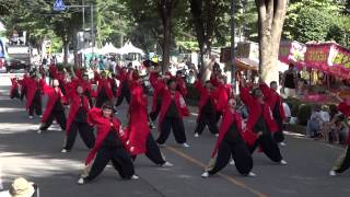 朝霞翔舞／税務署通（2nd）／関八州よさこいフェスタ2014（本祭二日目）／第31回彩夏祭（朝霞市民まつり）