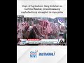 dept. of agriculture ilang tindahan sa cartimar market pinaniniwalaang nagbebenta... balitanghali