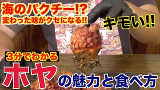 【貝ではない!?】ホヤの魅力と食べ方