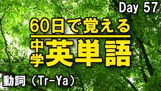 中学英単語を60日で覚えよう Day 57 【動詞（Tr-Ya）】 - リスニングで覚える英単語