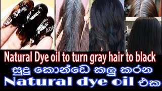 සුදු හිසකෙස් කලු කරන Natural dye oil එක  natural dye oil to turn gray hair to black