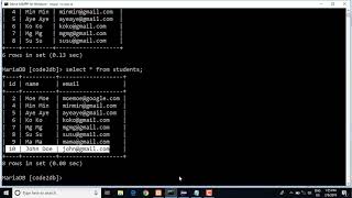 148 execute executeQuery executeUpdate