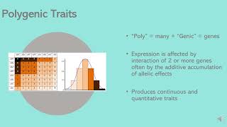 Heterogenic vs. Polygenic Traits