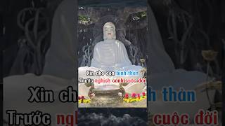 Xin cho con bình thản trước nghịch cảnh cuộc đời | Nam Mô A Di Đà Phật #shorts #adidaphat #meme