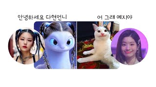 [ITZY/TWICE] 예지:안녕하세요 다현언니 다현: 어 그래 예지야