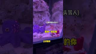 章魚雕像竟讓藍環章魚懷孕！# Shorts