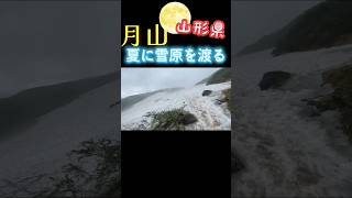 山形の霊山「月山」夏に雪原を渡る #出羽三山 #月山 #山形