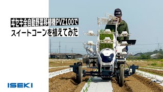 全自動野菜移植機PVZ100でスイートコーンを植えてみた