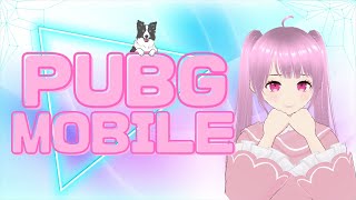 【PUBGMOBILE】クラシック楽しむ時間👾