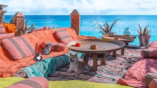 Seaside Outdoor Coffee Shop Ambience - Bossa Nova Music, Sea Sound for Relax with Kitty and Puppy