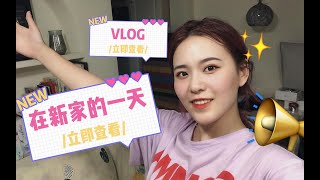 【苏学姐】 VLOG|在新家的一天/异地恋的独居生活