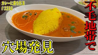 【ピンチ！】カレー屋さんがほとんど無い地域！インネパに飛び込んでみたら！！【橋本】インディアン・レストランSAINO【くわちゃんねる】