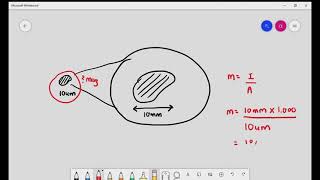 1-1 Introduction to light microscope & magnification; Cambridge AS & A Level Biology (9700)