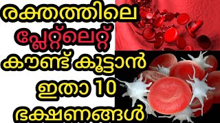 രക്തത്തിലെ പ്ലേറ്റ്ലെറ്റ് കൗണ്ട് കൂട്ടാൻ ഈ 10 ഭക്ഷണങ്ങൾ കഴിക്കൂ.