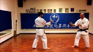 Wado Ryu Hon Dojo - Yakusoku Kumite