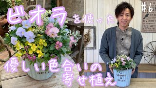 【ビオラ】優しい花色のビオラを爽やかなブルーのブリキの器に合わせた可愛い寄せ植え