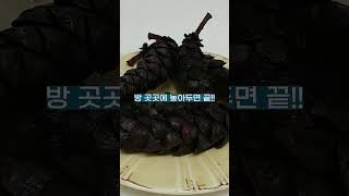 '전기NO, 세균NO' 천연가습기 만드는 4가지방법 #shorts