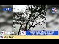 malshej ghat माळशेज घाटात पर्यटनासाठी पर्यटकांना आत जाण्यास बंदी tv9