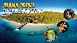 Pesona Kekayaan Taman Nasional Siberut di Kepulauan Mentawai