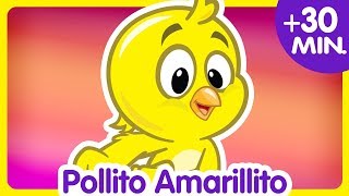 POLLITO AMARILLITO + Compilado de Clips 30 min. - Canciones infantiles de la Gallina Pintadita