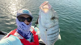 Kayak Towed By Huge Fish #fishfight #fishing #kayakfishing #goldentrevally #trevally