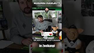 NGoumou und Buschi zugelegt?! 🤣🔥Starkes Spiel gegen Mainz! 👌🏻 #borussia #vfl #fohlen #bundesliga