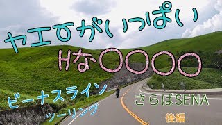 【モトブログ】真夏のビーナスラインでヤエー祭り！霧の駅~美ヶ原高原を目指して！後編【長野県茅野市～上田市、CB400SB、DUCATI SBK1098S】