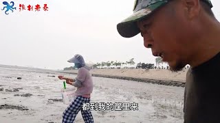 今天赶海去晚了，老张和老杨又是空军，老桑抠的够吃了，晚上喝酒