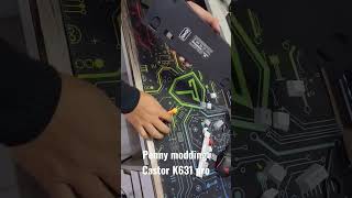 Redragon K631 Pro Penny modding