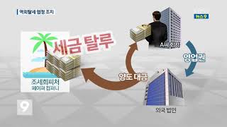 해외탈세 꼼짝 마!…혐의자 37명 동시 세무조사