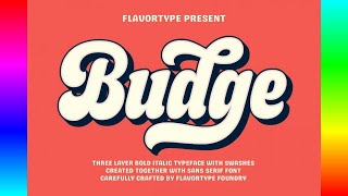 Best Fonts: Budge Font